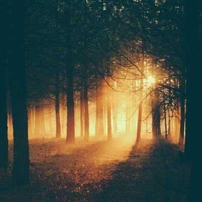 星空下载站安装截图