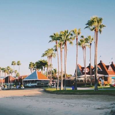 8868体育官方版最新版